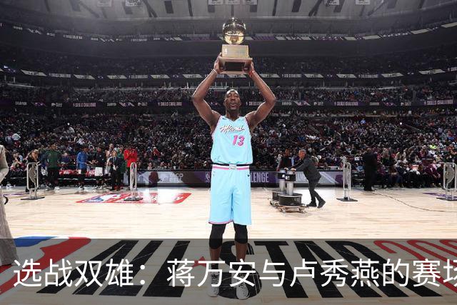 选战双雄：蒋万安与卢秀燕的赛场“搭档”与内斗